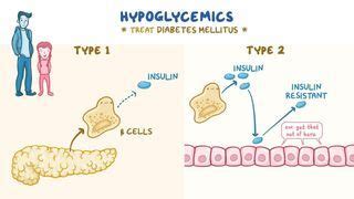 Miscellaneous Hypoglycemics Notes Diagrams Illustrations Osmosis