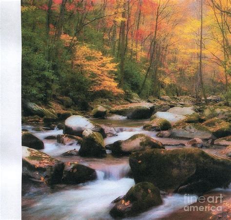Stream In The Fall Woods Painting Stream In The Fall Woods Fine Art Print