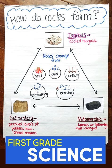 First Grade Science Lesson Plans Lesson Plans Learning