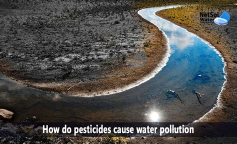 How Do Pesticides Cause Water Pollution Netsol Water