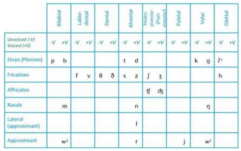 Consonant Charts Free Pronunciation E Course The Mimic Method