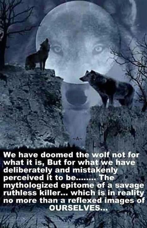 1086 Best Wolf Sayings And Wolf Wisdom En Wolves Quotes Images On