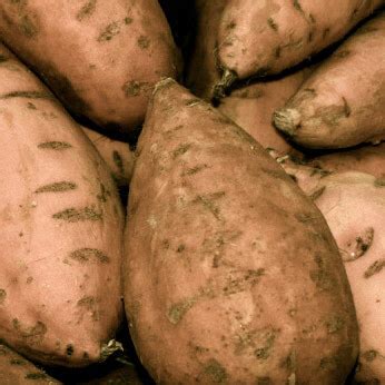 Check 'potato' translations into tongan. Tongan Potato : Cook Island Potato Salad Island Food Polynesian Food Potatoe Salad Recipe : A ...