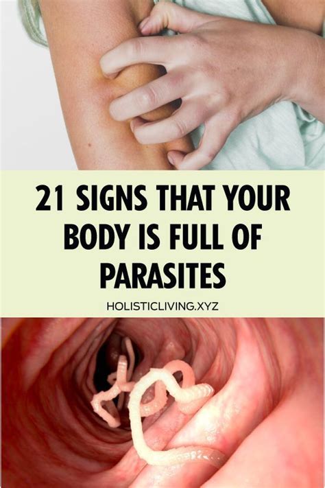 21 signs that your body is full of parasites intestinal parasites parasite health