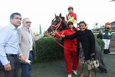 Purasangre peruano es elegido el mejor caballo de carreras de ...