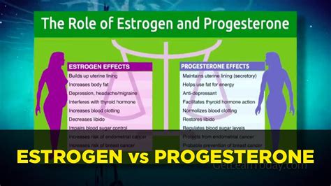 Estrogen And Progesterone Levels Chart