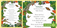 Caterpillar Poem Poster (teacher made) - Twinkl