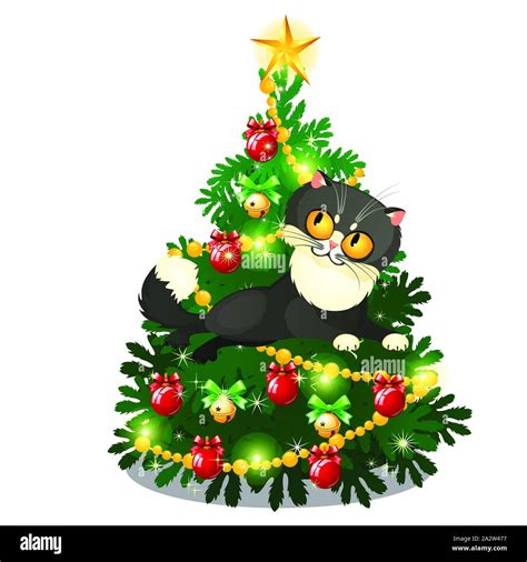 Funny Cat Animated Photos Arthatravel Com