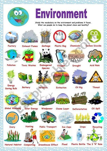 Environmental Issues In Environment Vocabulary Environmental Issues