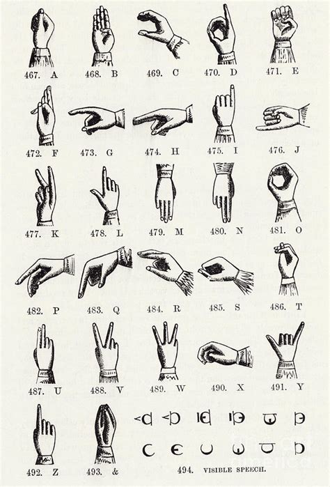Pansexual refers to someone who is romantically, emotionally, or sexually attracted to people of any gender or regardless of their gender. Sign Language Alphabet Drawing by English School