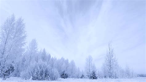 Snowy 4k Ultra Hd Wallpaper Background Image 3840x2160 Id598113