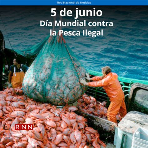 Hoy Es El Día Mundial De La Lucha Contra La Pesca Ilegal Rnn Red