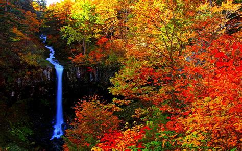 Autumn Falls Forest Autumn Nature Waterfalls Hd Wallpaper Peakpx