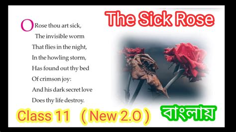 The Sick Rose By William Blake Class Xi Wbchse Meaning And Analysis English Wbchse বাংলা