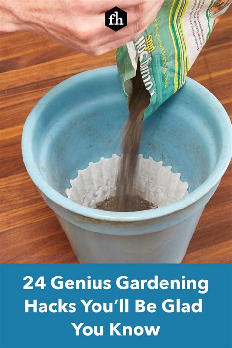 24 genius gardening hacks you ll be glad you know garden hacks diy gardening tips easy