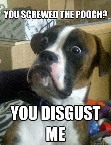 You Screwed The Pooch You Disgust Me Baffled Boxer Quickmeme