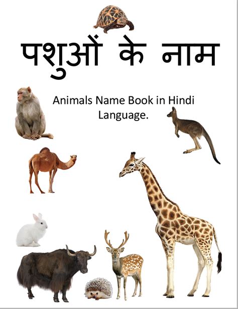Animals Name In Hindi Book Animals Animal Book Hindi Books