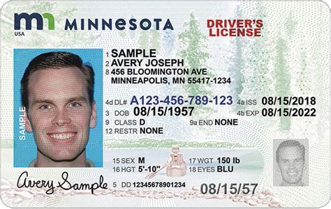Minnesota Drivers License Knowledge Test Knowledge