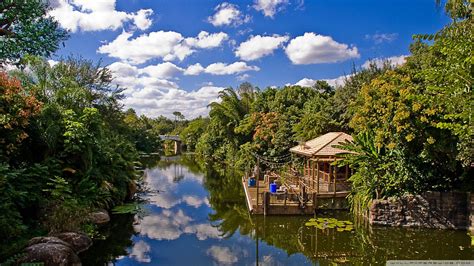 Disneys Animal Kingdom Wallpapers Wallpaper Cave