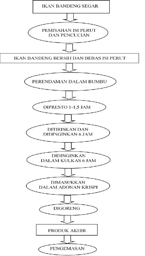 Contoh Diagram Alir Proses Produksi Ikon Gambar Icon Dan Fungsinya