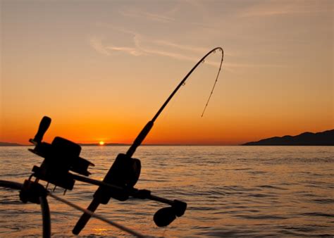 Free Photo Beautiful Sunset Landscape With A Fishing Rod