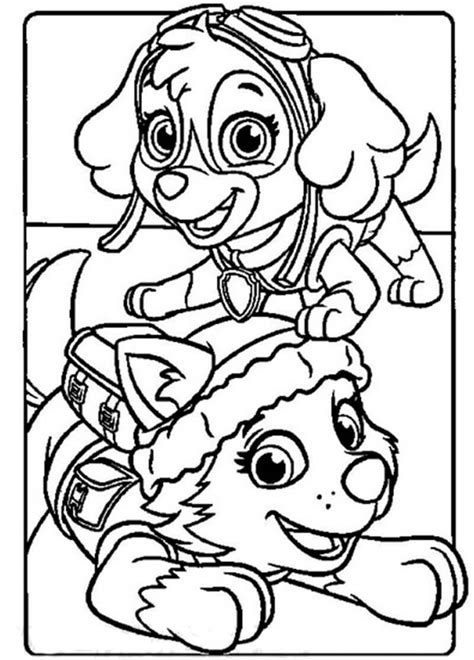 Skye Paw Patrol 14 Coloring Page Free Printable Coloring Pages For Kids