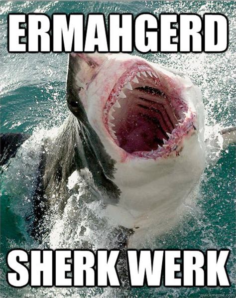 Love Shark Week 11 Hilarious Shark Memes For Shark Lovers