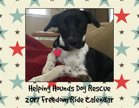 Helping Hounds Dog Rescue