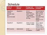 What Is The Schedule For Hepatitis B Vaccine For Adults Photos