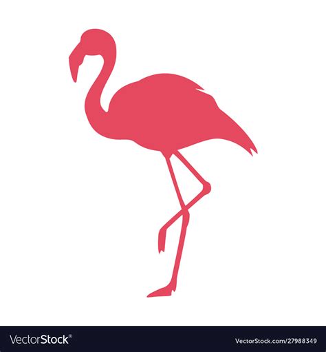 Pink Flamingo Logo Royalty Free Vector Image Vectorstock