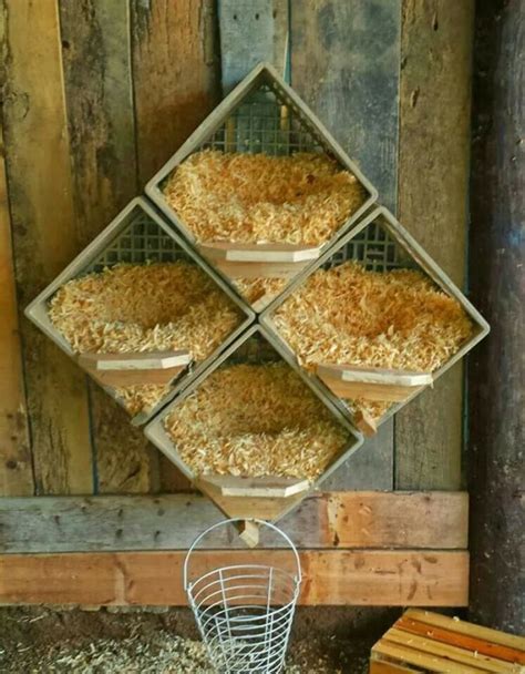 Top 10 Unique Ideas For Chicken Nesting Boxes Eco Snippets