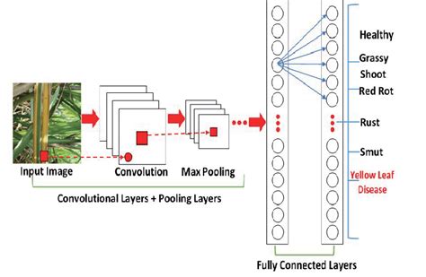 Convolutional Neural Network Architecture Fig Illustrates Several