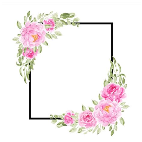 Cadres Polyvalents De Fleurs De Pivoine Rose De Base Vecteur Premium