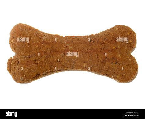 Dog Bone Hi Res Stock Photography And Images Alamy