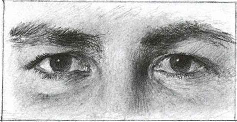 Wrinkles Up Close Facial Expressions Joshua Nava Arts