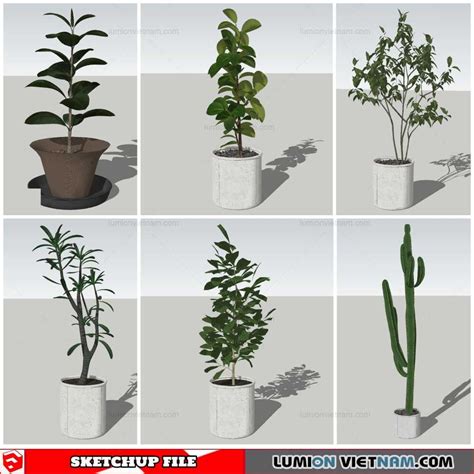 Plant Pots Sketchup Models