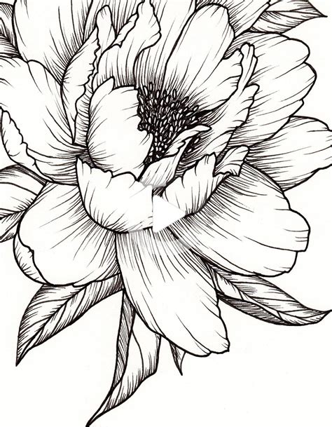 Pivoine Fleur Art De Print Illustration Pen Fleur Dessin Tatouage