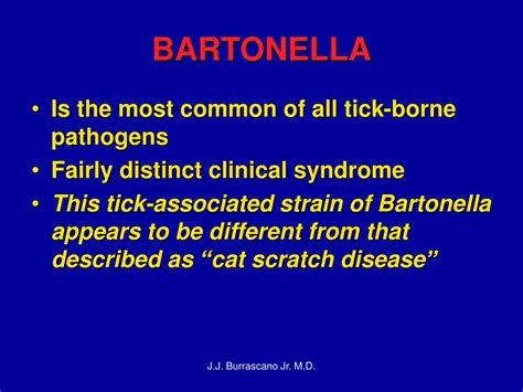 Ppt Case Histories Bartonella Like Organisms Powerpoint Presentation