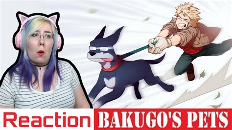 Bakugos Pets Reaction My Hero Academia Comic Dub By Waglington Va