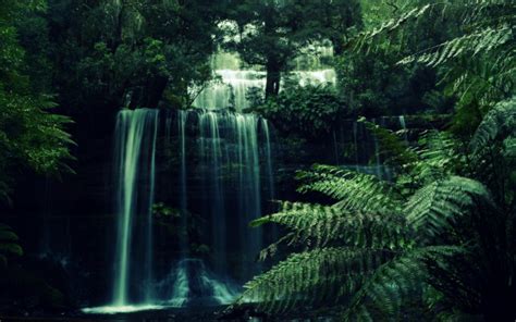 Обои природа водопады джунгли тропики водопад картинки на рабочий