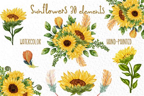 Watercolor Sunflower Clipart Sunflowers Graphic By Vivastarkids