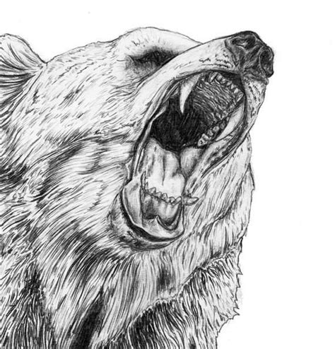 Roaring Bear A4 Art Print In 2021 Roaring Bear Bear Sketch Spirit