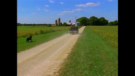 Baby Einstein Stock Footage Truck Approaching The Farm Youtube