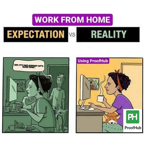 Funny Work From Home Memes You Can Totally Relate To