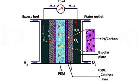 Cross Sectional View Of Polymer Electrolyte Membrane Fuel Cell