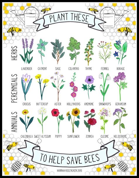 You can plant it in your garden or near the beehives. 4 Ways to Create Habitat for Native Bees | Serendipity Gardens