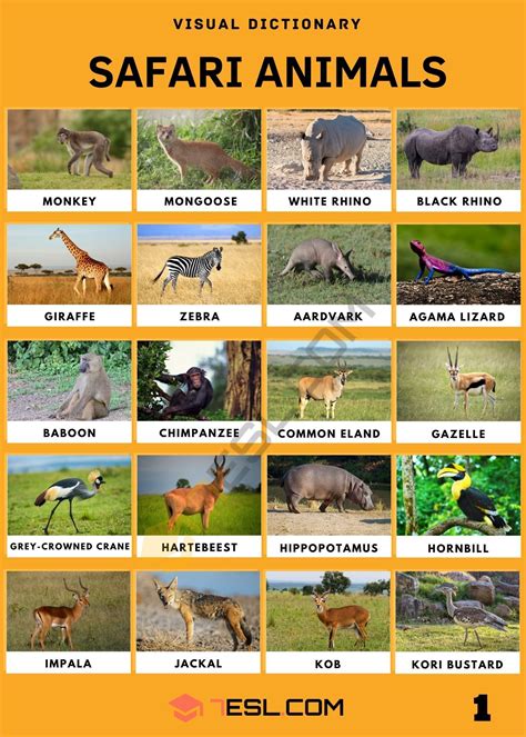 Safari Animals Large Animals Animals And Pets English Lessons For