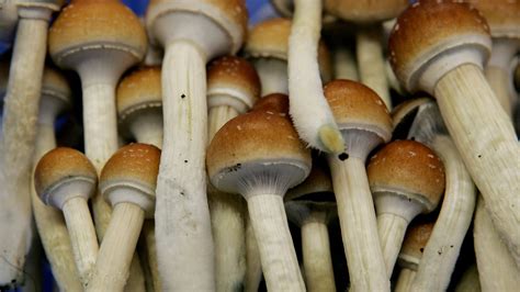Psychedelic compound in magic mushrooms 'promising' for treating ...