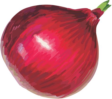 It has 4k resolution that's equivalent to 35mm film. Red onion PNG image