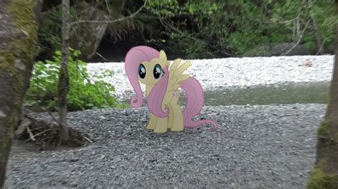 Fluttershy In Real Life Youtube